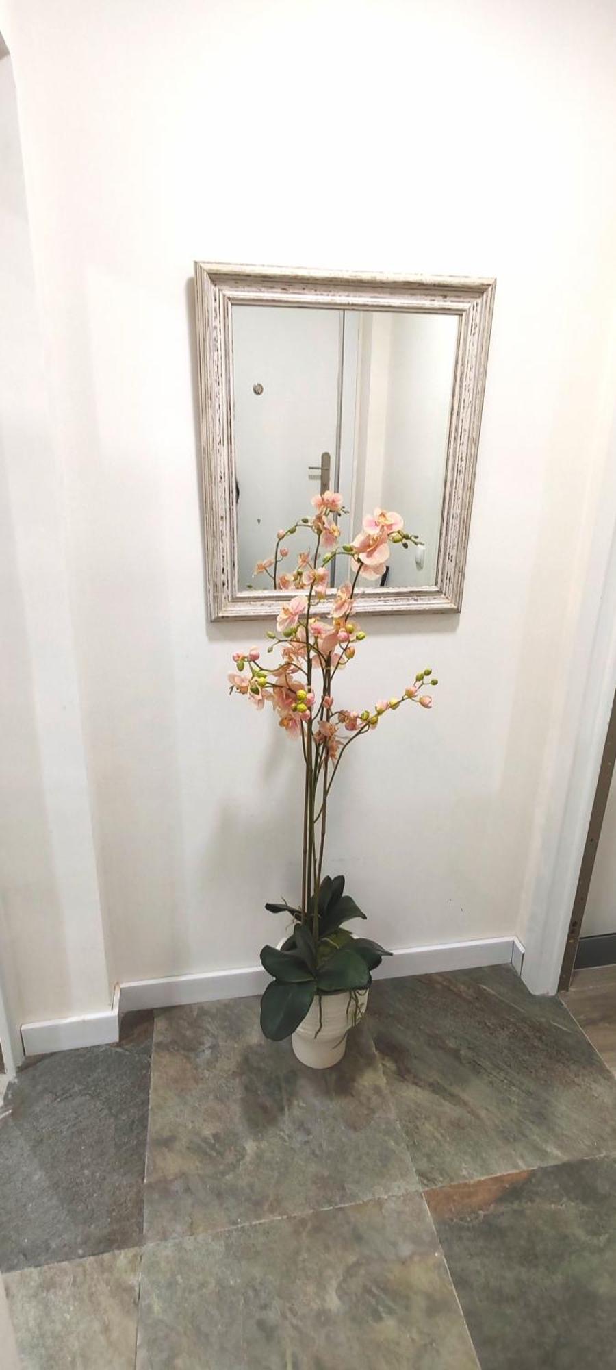 Casa El Oasis Apartment มาดริด ภายนอก รูปภาพ